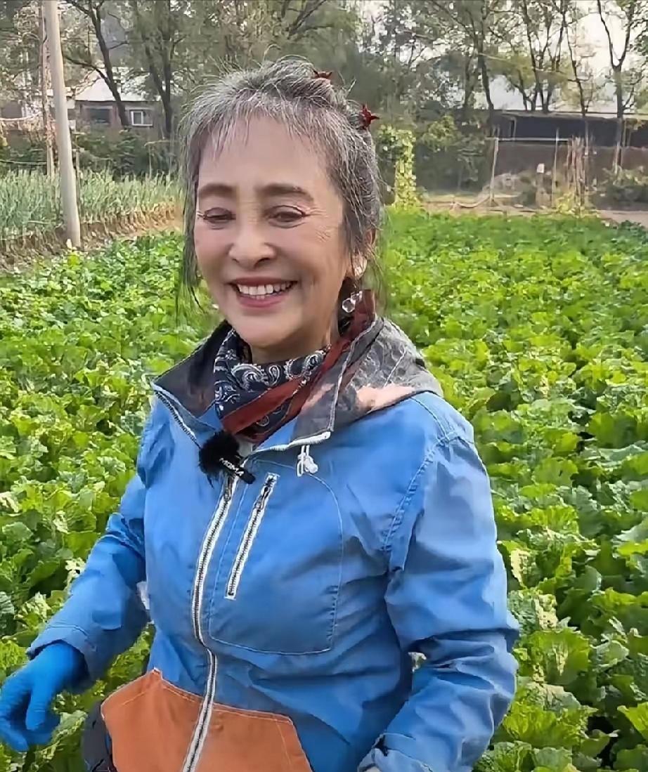 被骂十年的李勤勤，62岁的生活戳醒无数人
 
        一句年少冲动的话，