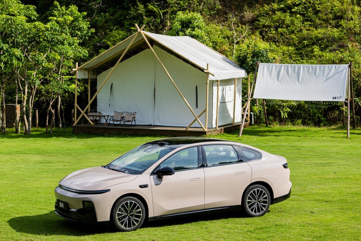 年轻人的纯电轿车，零跑B01还是海豹06EV？
 
年轻人买纯电轿车，10万级预