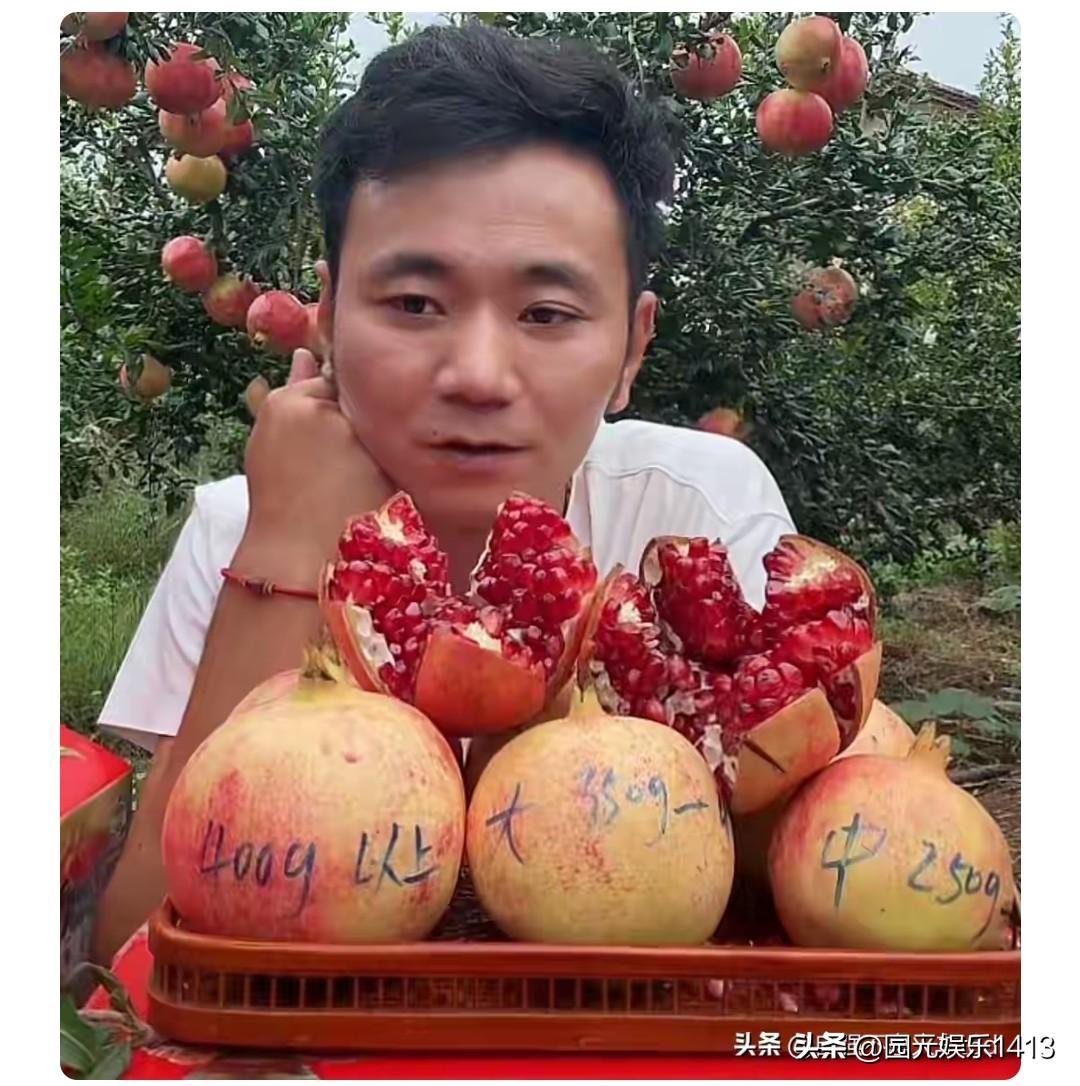 寻亲带货里面的历怀远最近也是非常火，他带货了很多都是农产品。
       李历