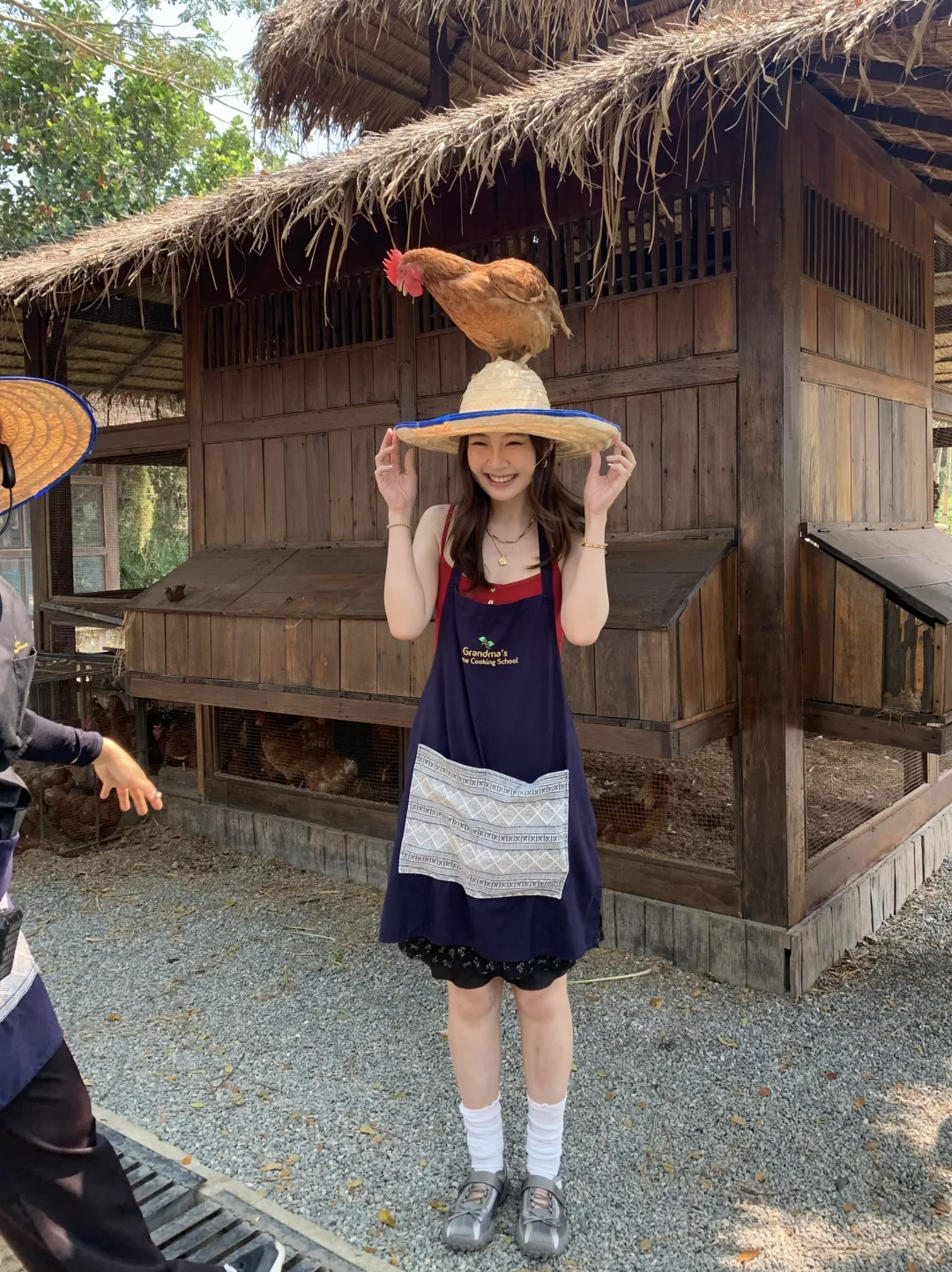 在清迈的每天都超级明媚！