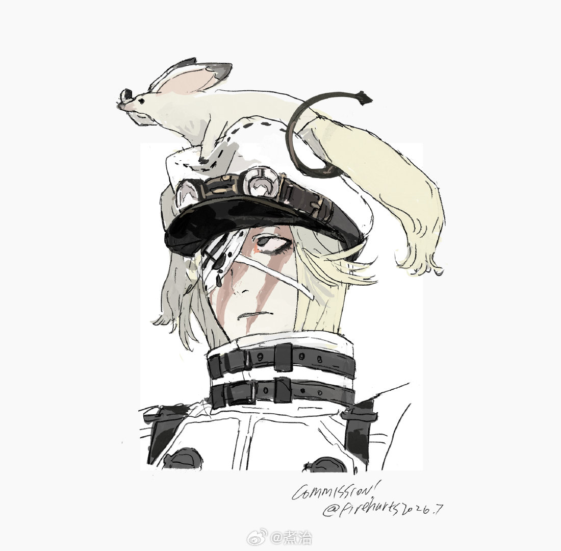 稿稿 