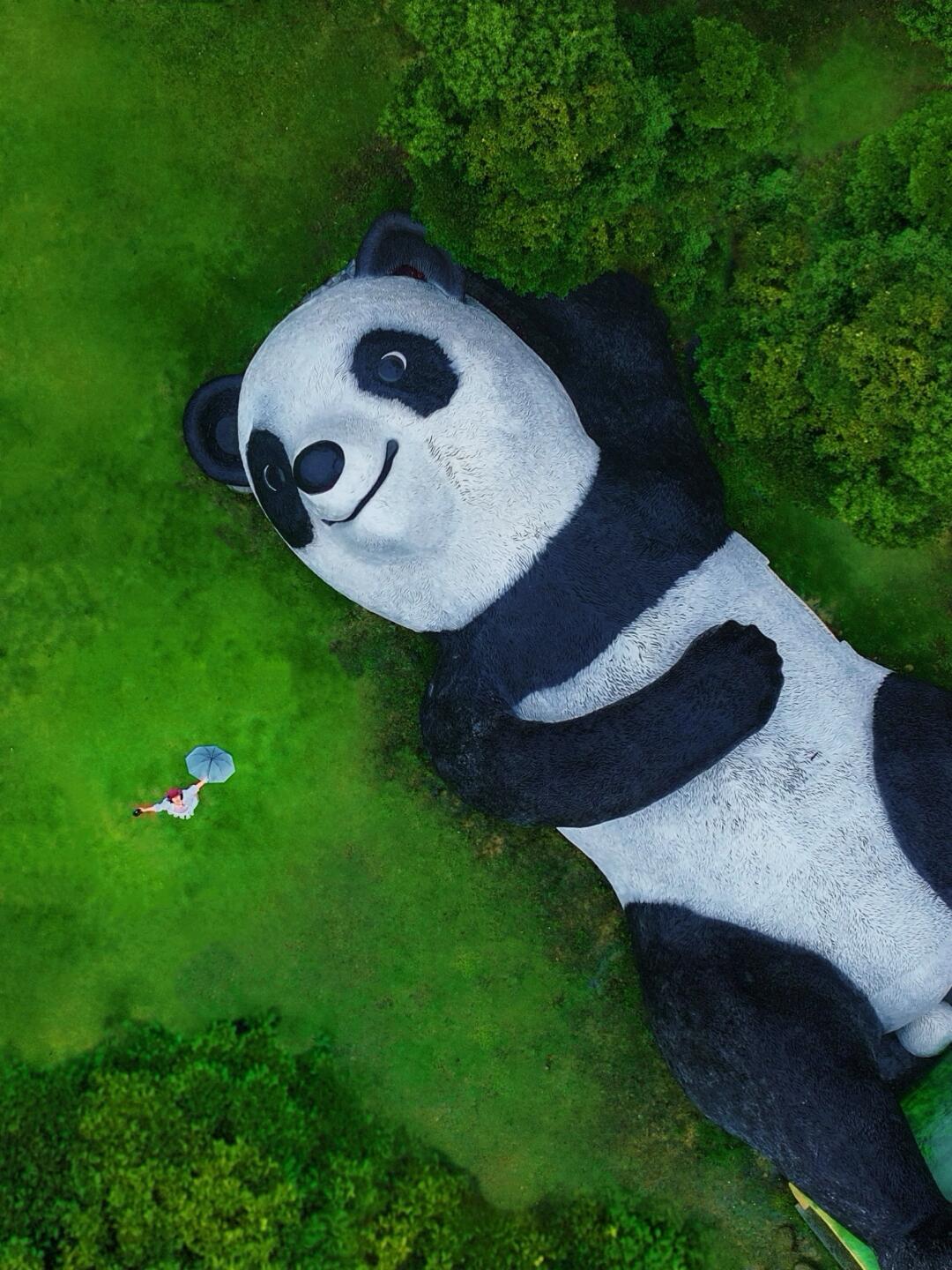 江浙沪这个乐园，我不会是最后一个来的吧❓