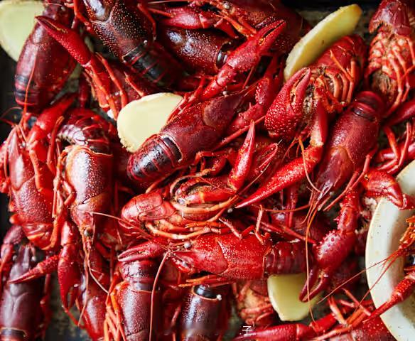 单挑一个澳洲小龙虾吧，兄弟们，娱乐一下！周四：001 巴西甲  03:00主客：