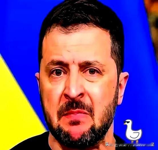 这笔账算下来，看得人脊背发凉。

俄乌战争打了四年多了，结果是除了乌克兰，其他各