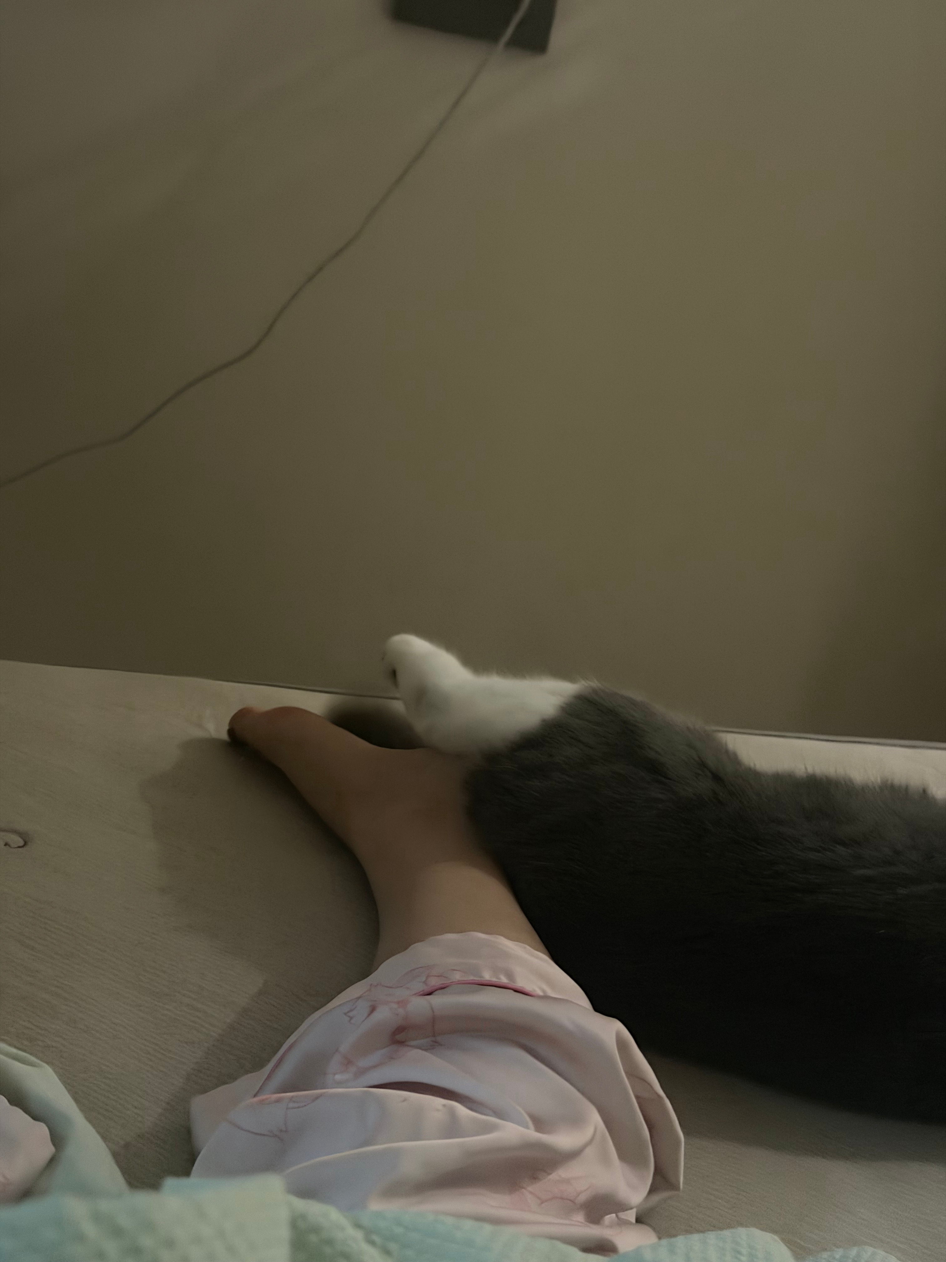很萌的一点 ​​​