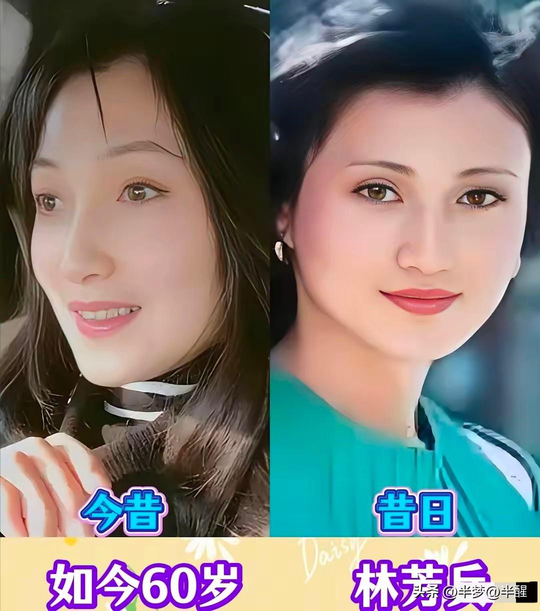 8位老牌女演员今昔对比！美人从不惧岁月，优雅自在老去

曾经的她们站上荧幕，各有