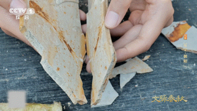 东北人砍价便宜了上亿元第一次见把化石当特产 辽宁朝阳离谱操作！把化石当伴手礼卖，