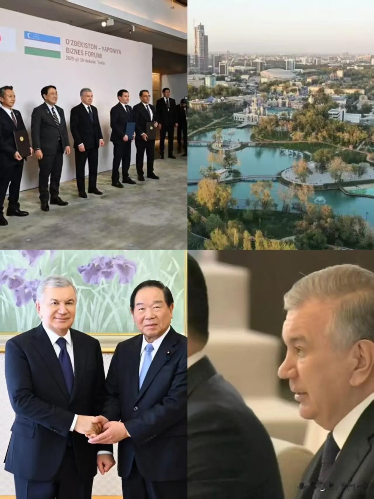 情况有变，中俄后院出现叛徒，公然支持日本入常，我们不得不防

乌兹别克斯坦总统米