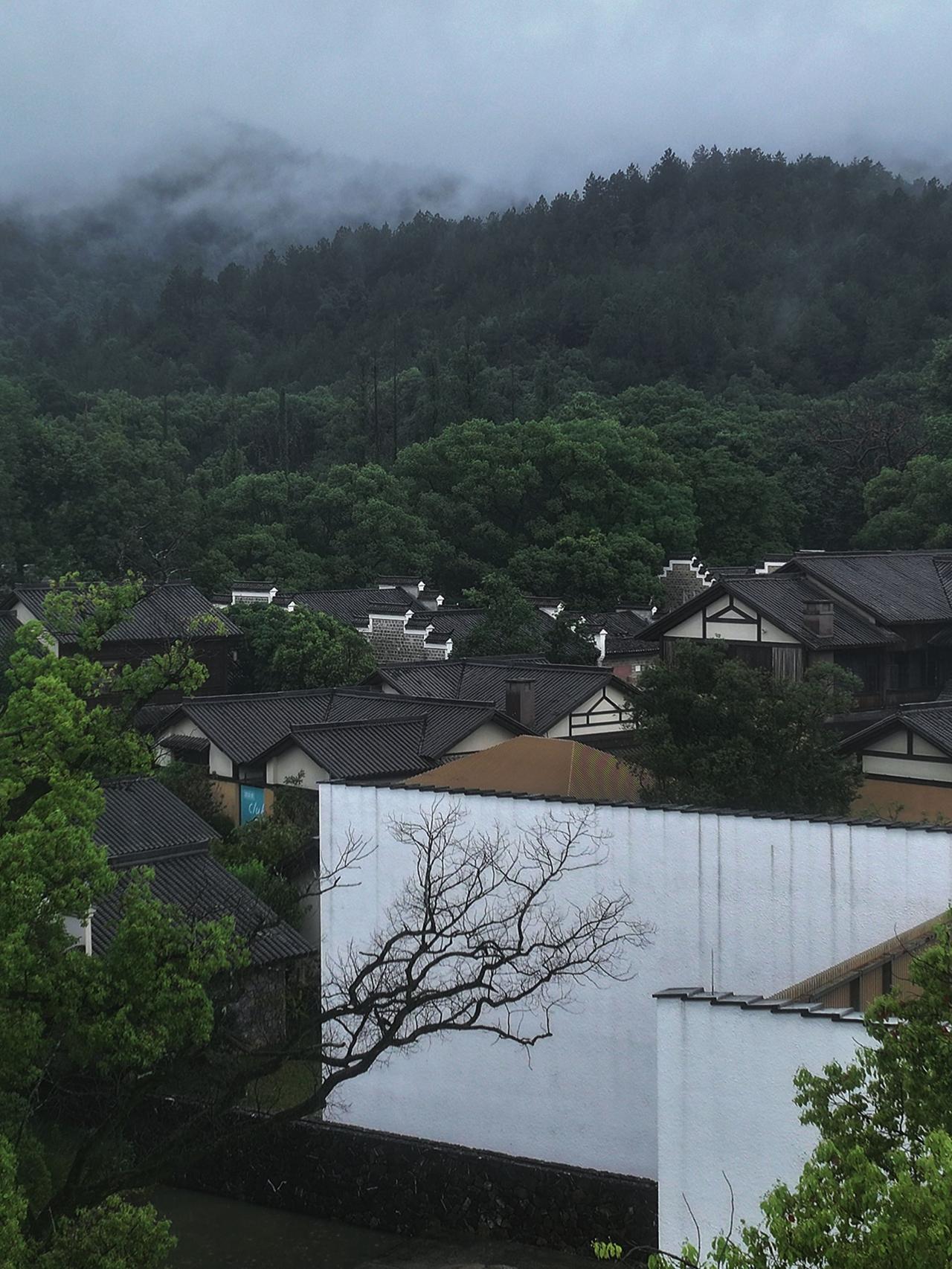 庐山 江西 江南