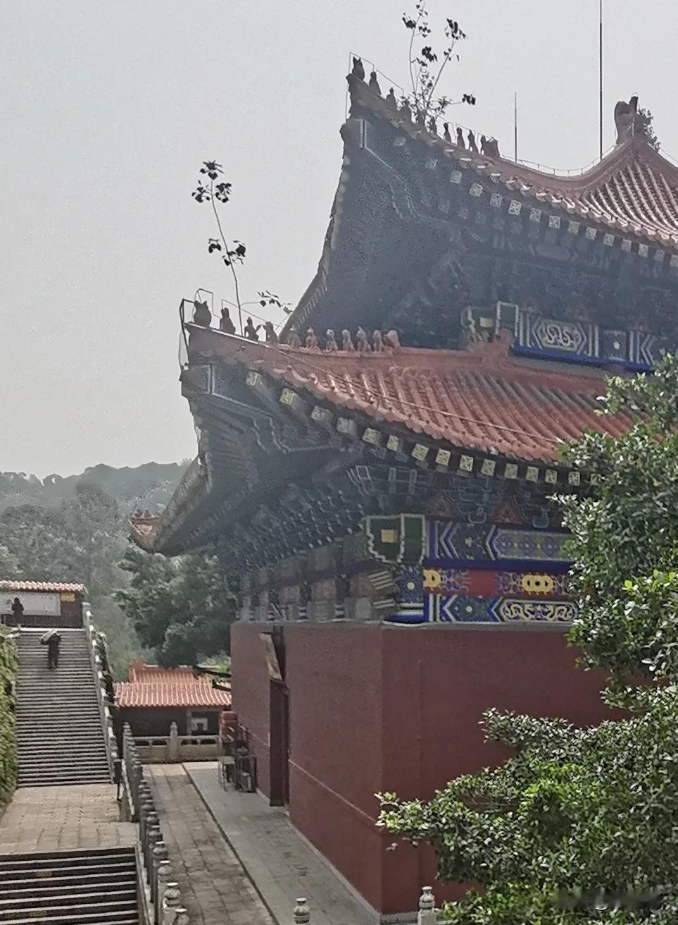 你只看到修行人，
沉默内敛，平和淡然的一面！
你不知道的是，他们能有今天这种沉稳