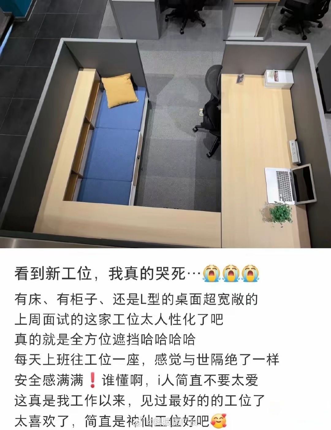 还神仙工位，你猜他为什么给准备个小床[笑cry][笑cry][笑cry] ​​​