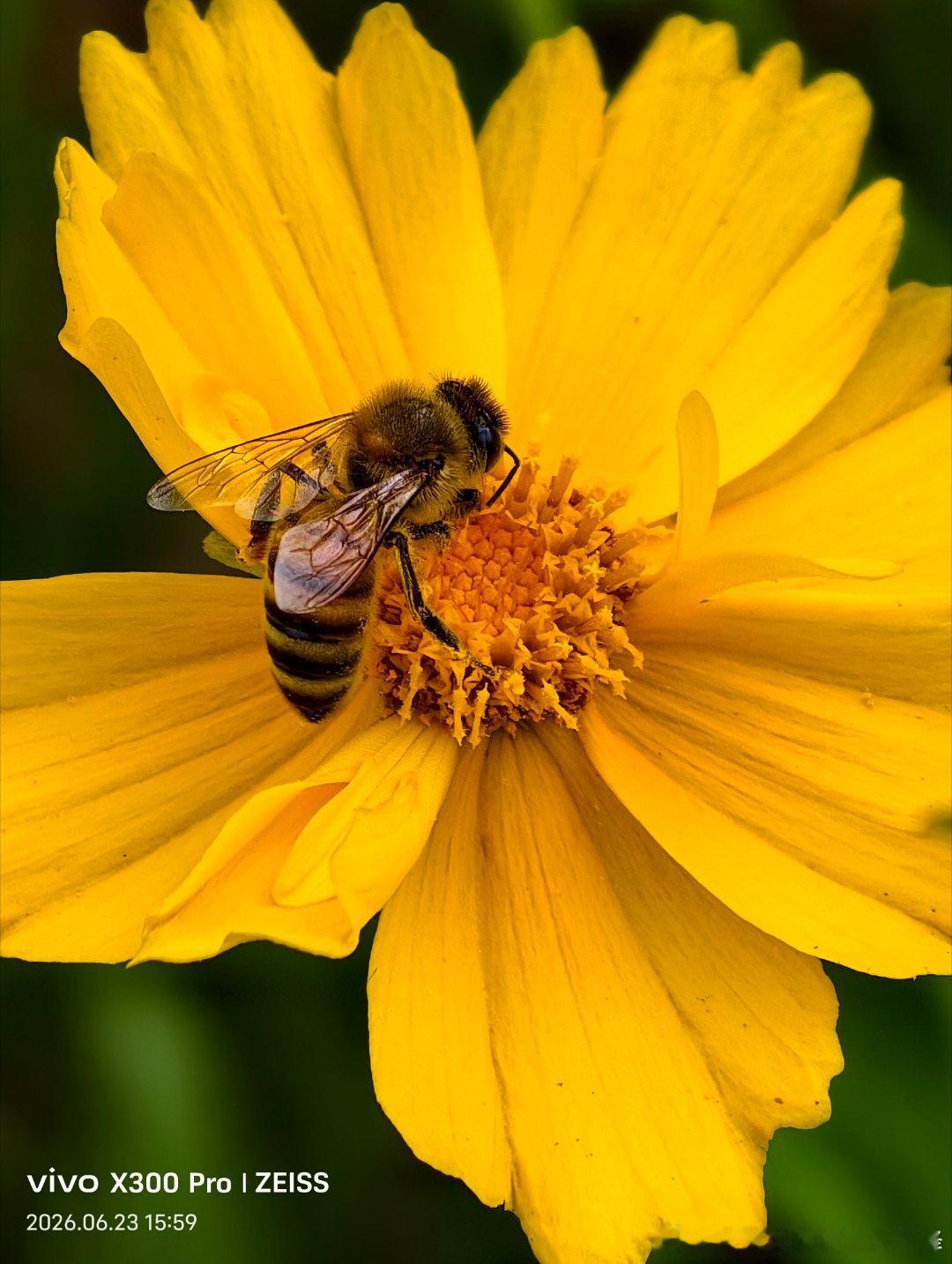 每当你与一群人在一起相处一小时，你就需要数个小时的独处来弥补。——格伦·古尔德 