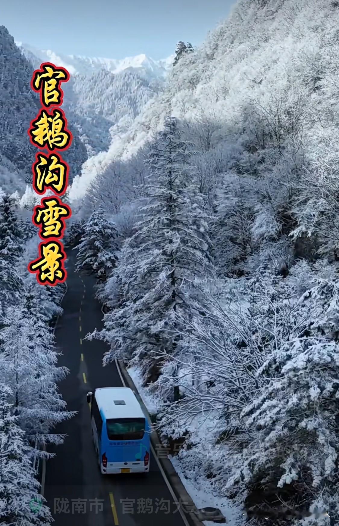 没有一个一线演员，全是跑龙套的材料[捂脸]。
看来年轻的一代人要好好学习，加强演