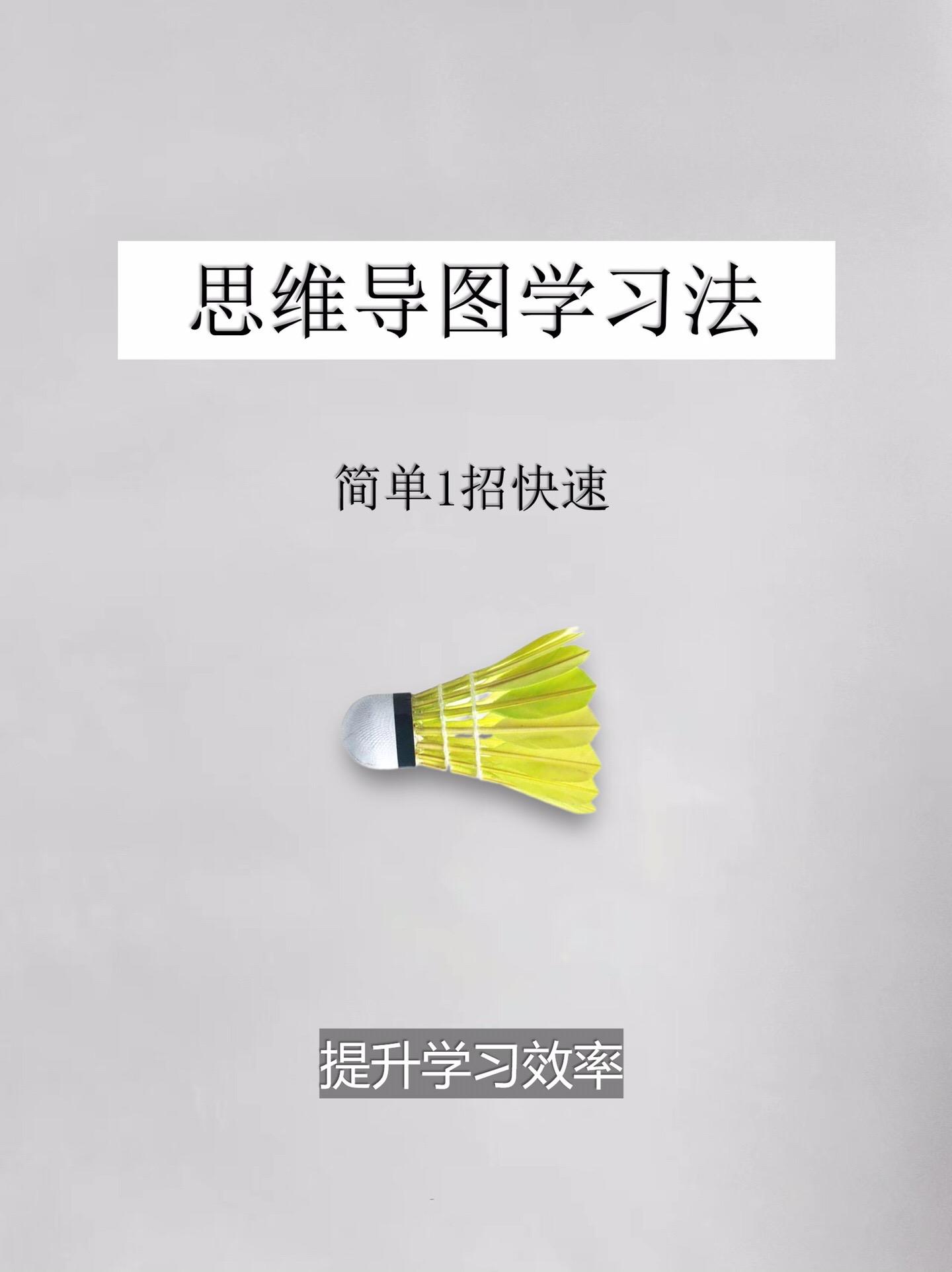 学习方法-思维导图学习法。