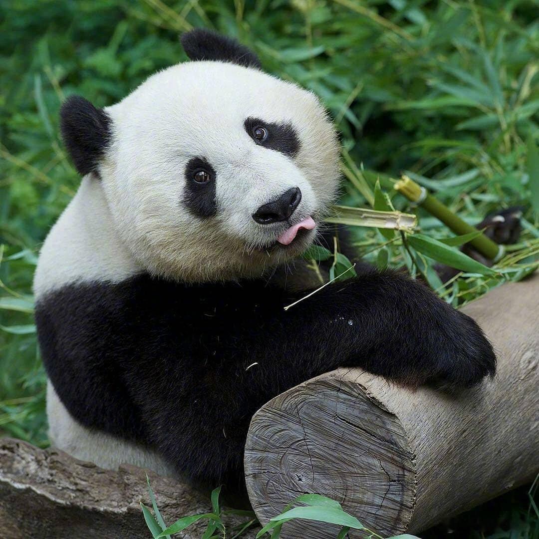 在自己喜欢的时间里，按照自己喜欢的方式，去做自己喜欢做的事，对我而言这便是自由人