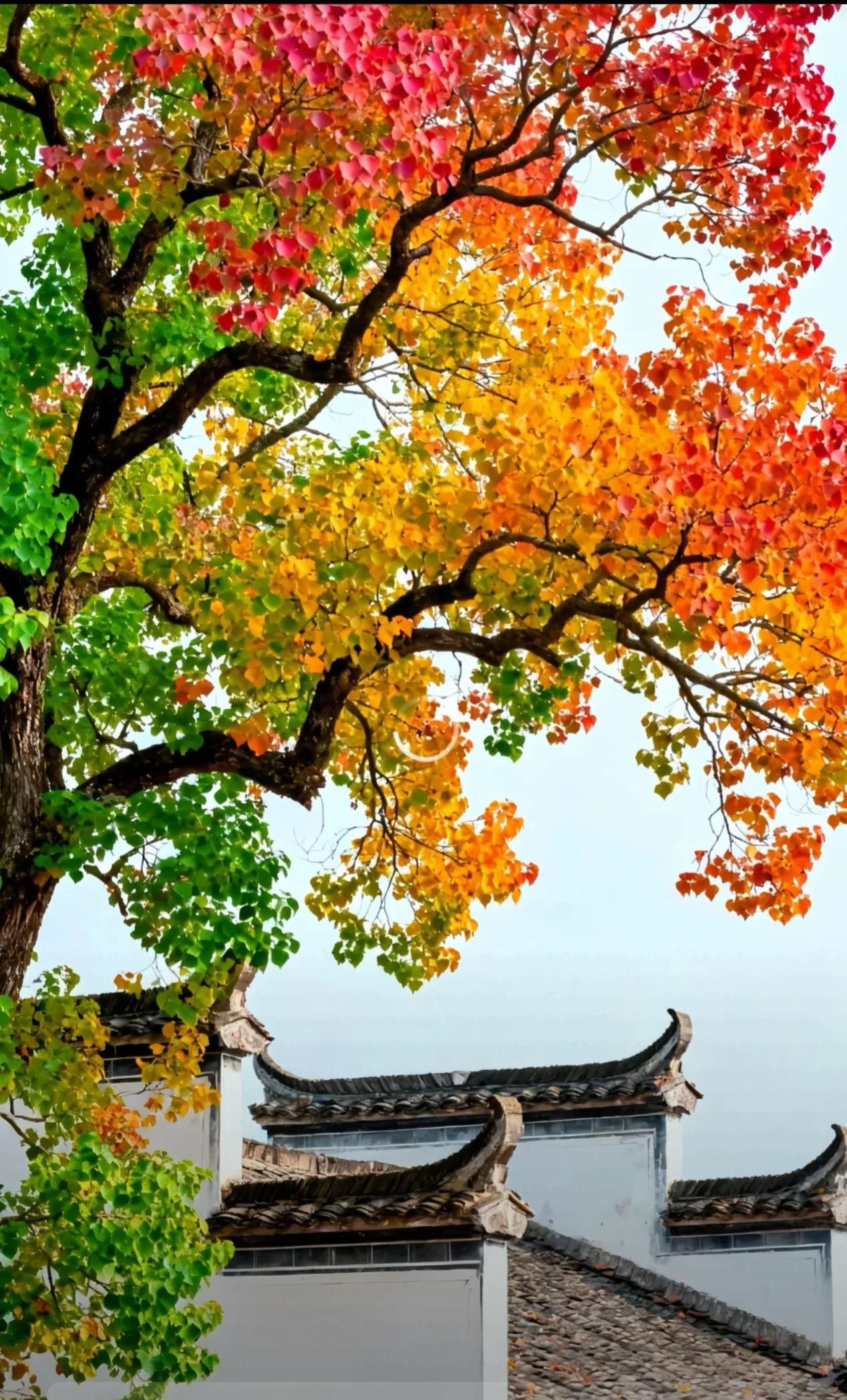 总是挑剔自己和别人的人，存钱很难，十分影响财富格局。因为财库是坤卦，长久的、大量