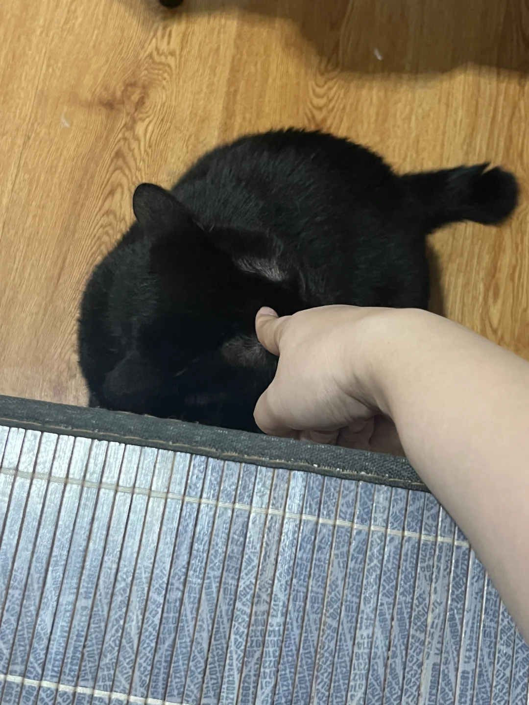 一身反骨