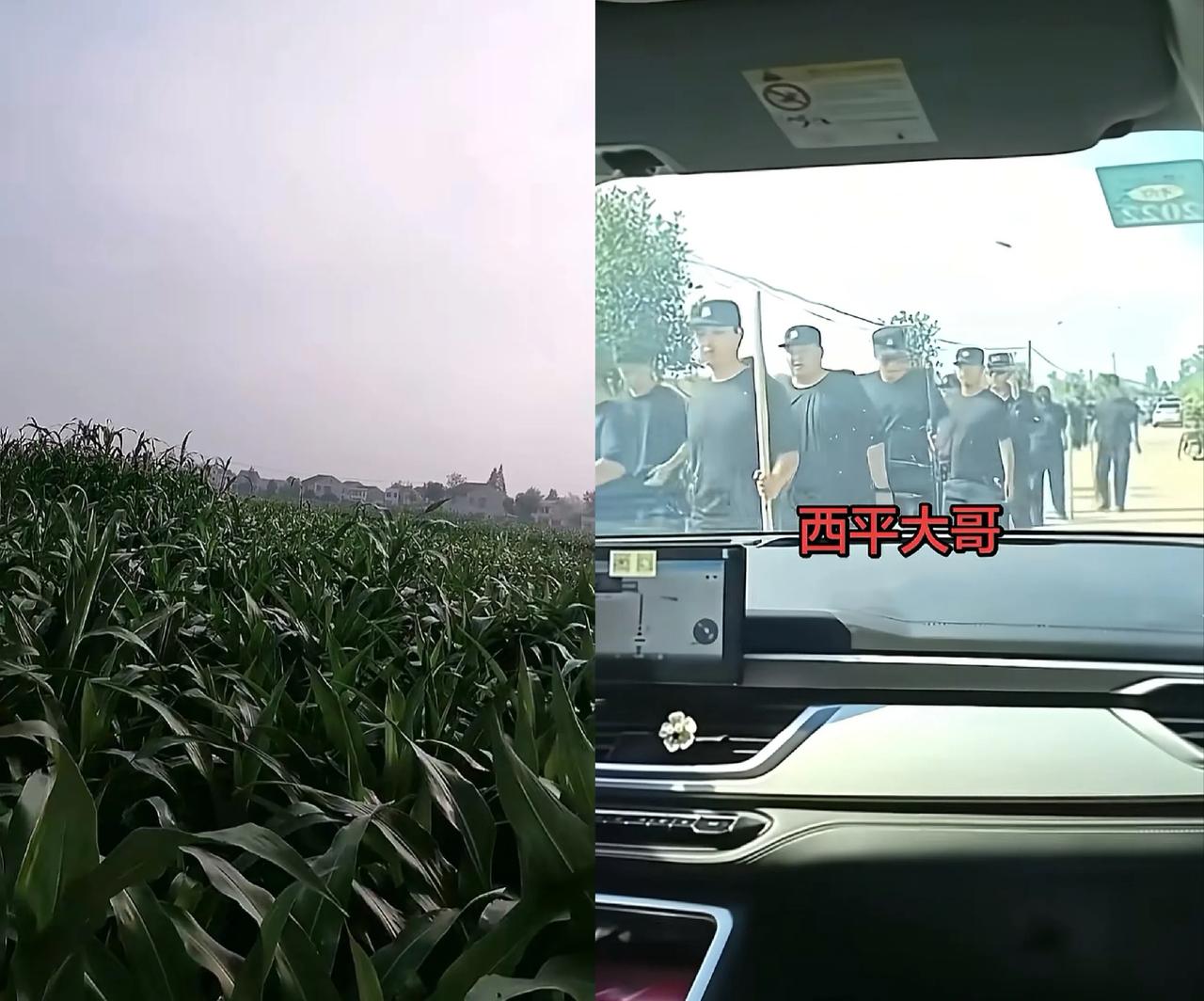 夏大哥，我刚刚去查了一下，西平地处豫南，离好几个地方都很近，从7月30日到现在，