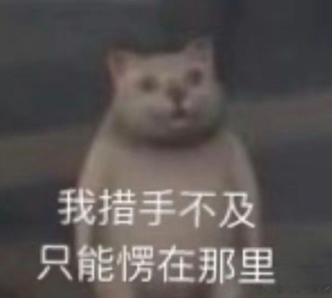 有一个容貌焦虑的朋友一起玩好累人 真的好累！而且如果有一个有容貌焦虑又爱拍照的朋
