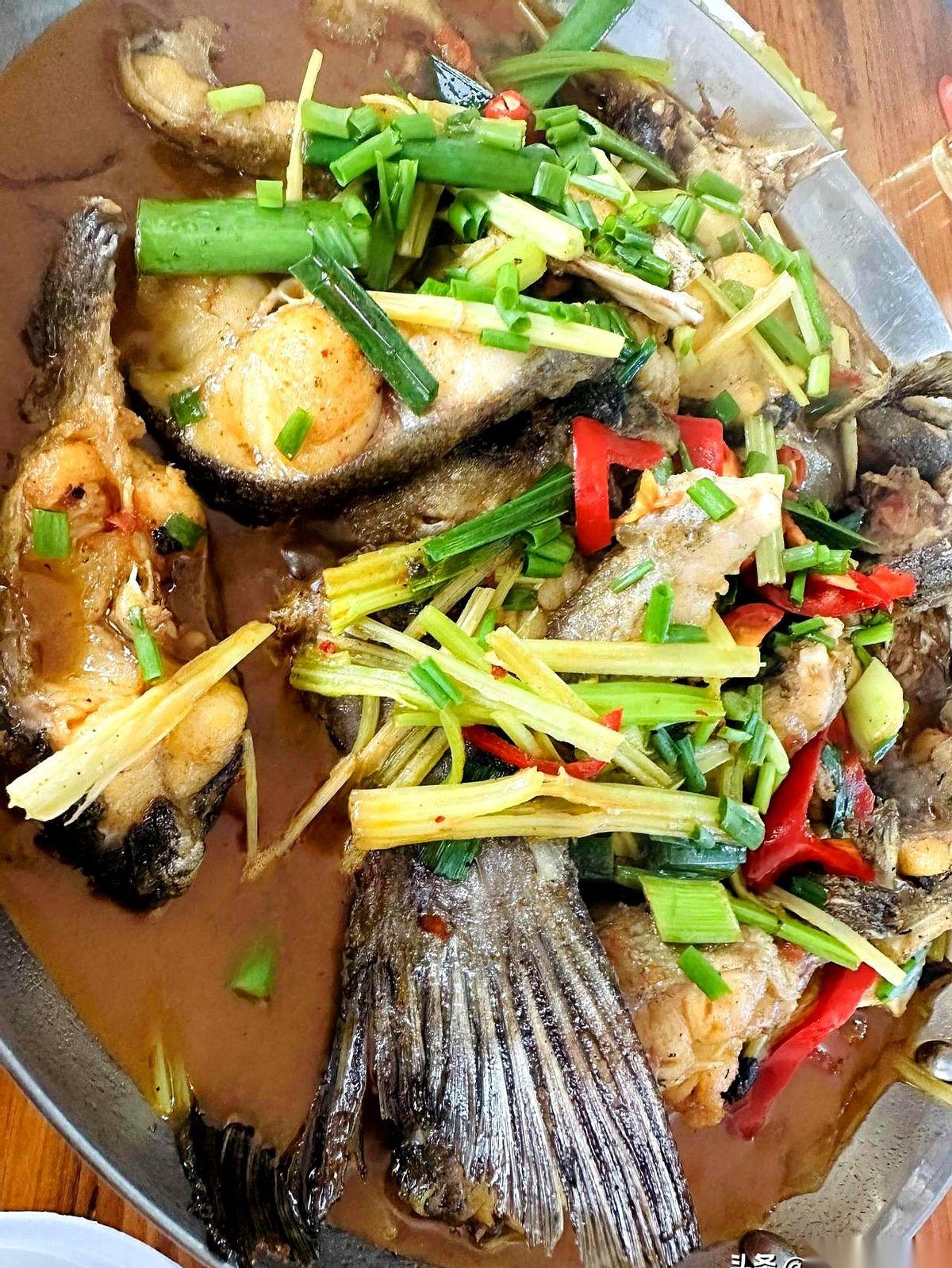 “两个人，420块。”
售票员指着江上的游船，脸上是那种标准笑容。雨丝还在飘，空