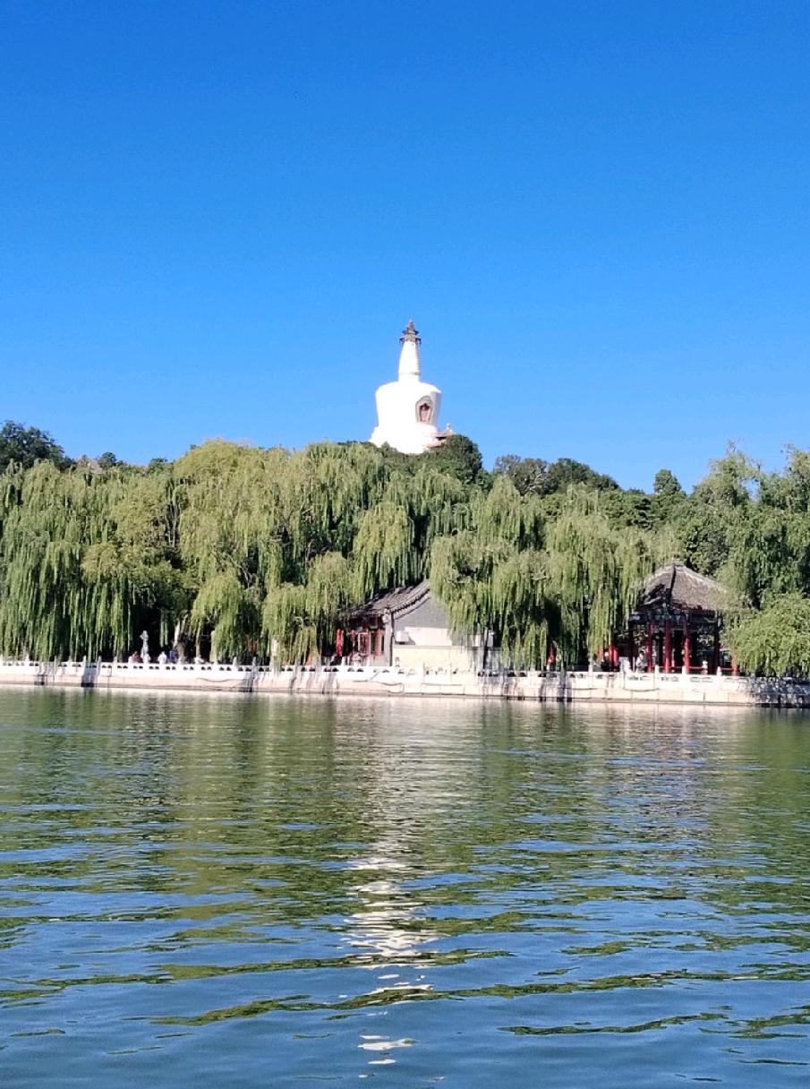 二选一你会怎么选？

一，篮球足球顶尖，世界赛事夺冠，娱乐业风靡世界

二，教育