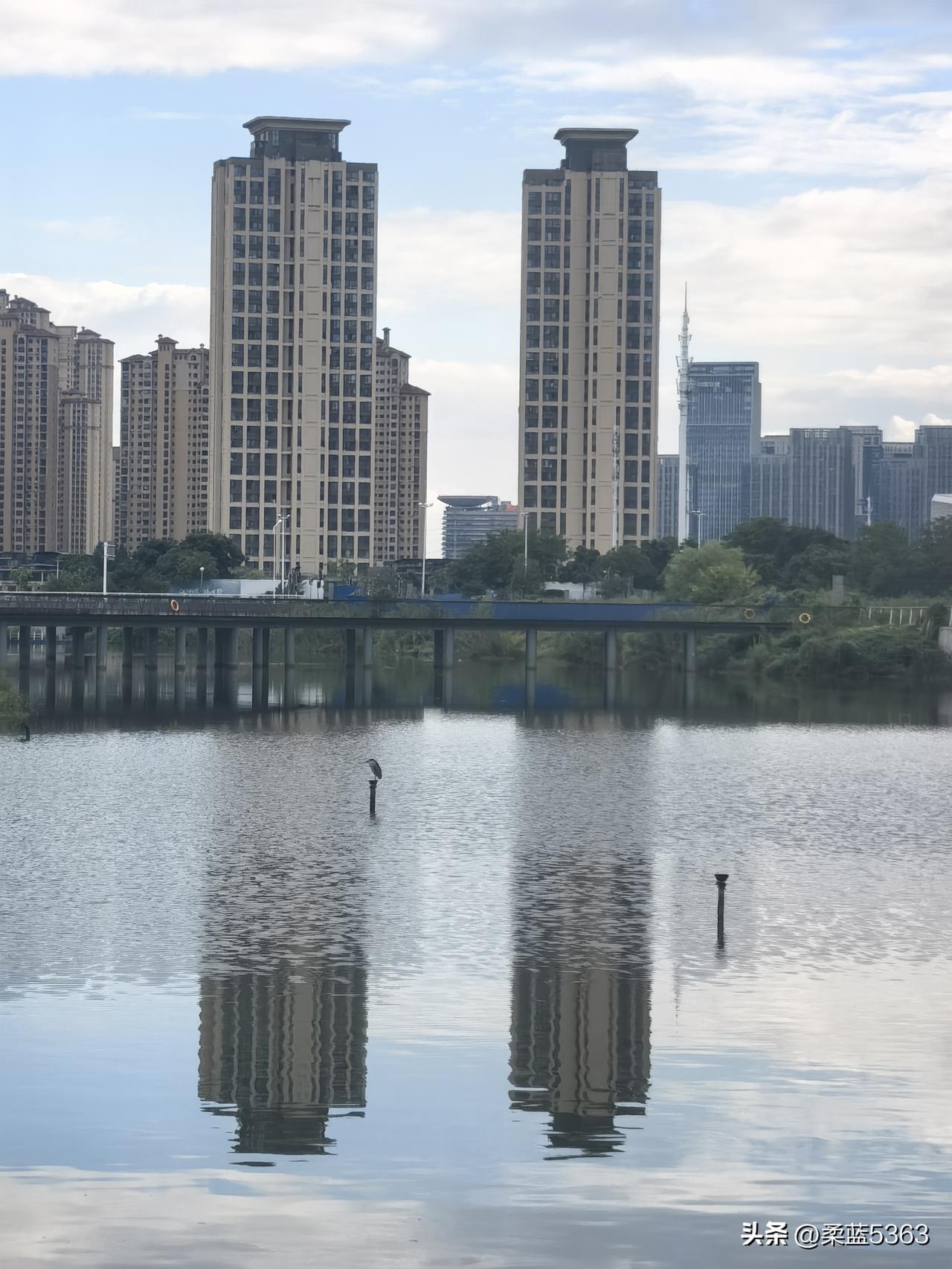 “房贷只用还本金，不用还利息”的说法不现实，银行几乎不可能答应。

这主要是基于