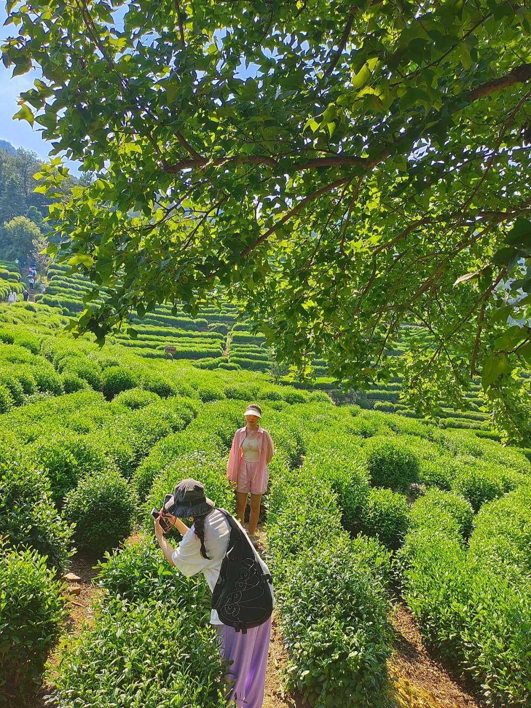 杭州徒步最美打卡地‼️周末必去🔥