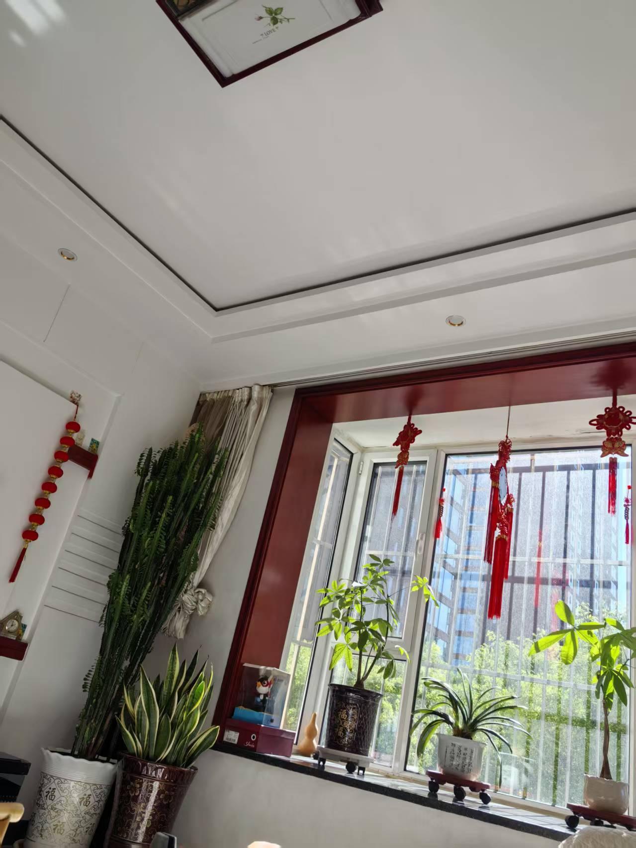 养花的快乐，是用耐心和爱，收获治愈。我养过风雨兰，每天盼着它开花，就像盼着一场浪