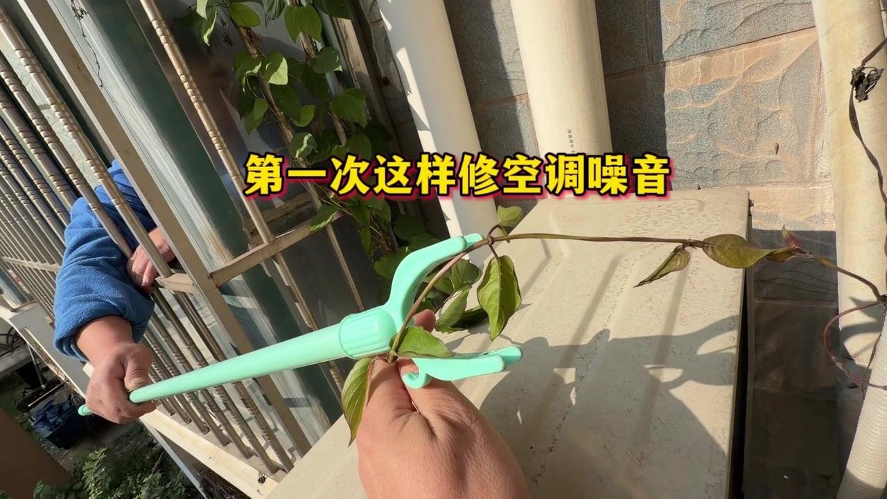 空调噪音大到睡不着？原来是它在捣乱！🌿美女家空调突然发出怪响，吵得根本没法睡。