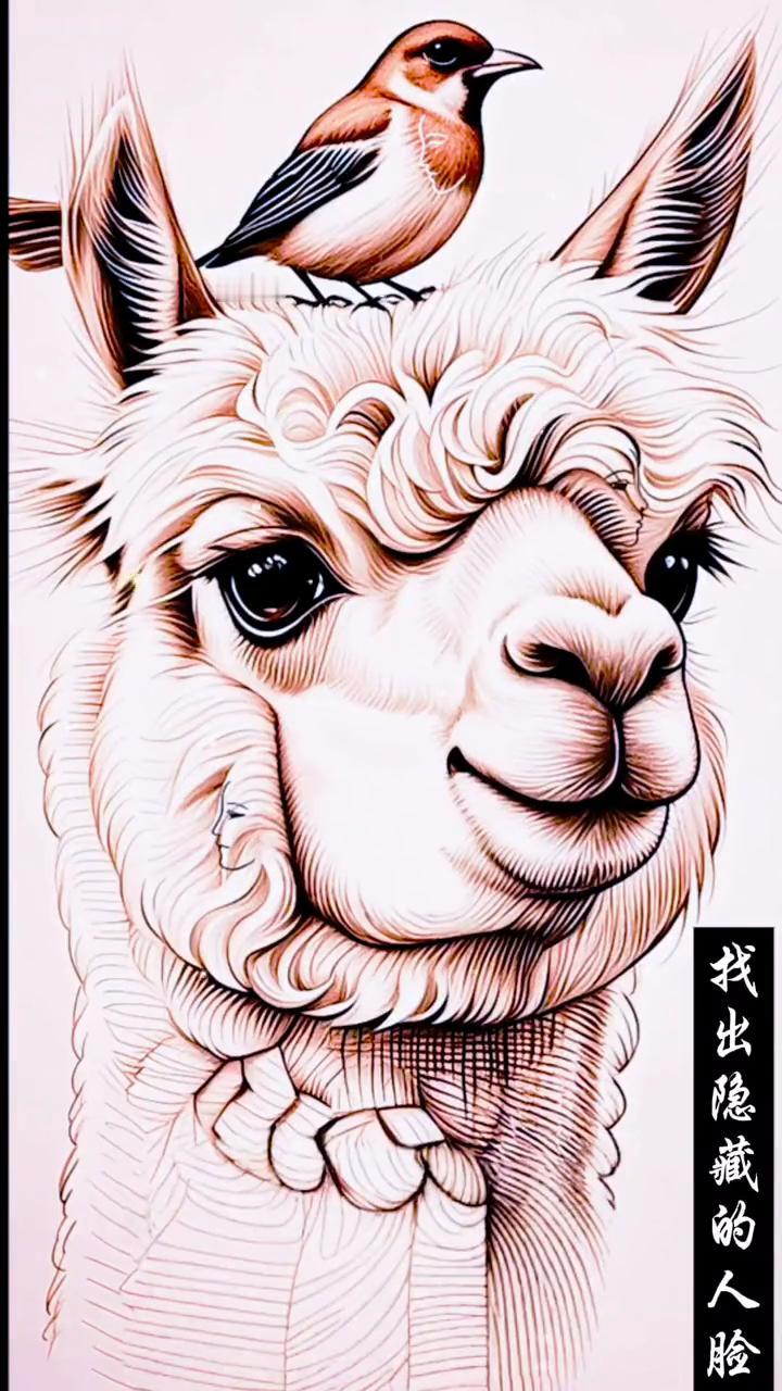 找出隐藏的人脸。
这是一张羊驼的图片，这张图里隐藏着三张人脸，极其考验眼力，难度