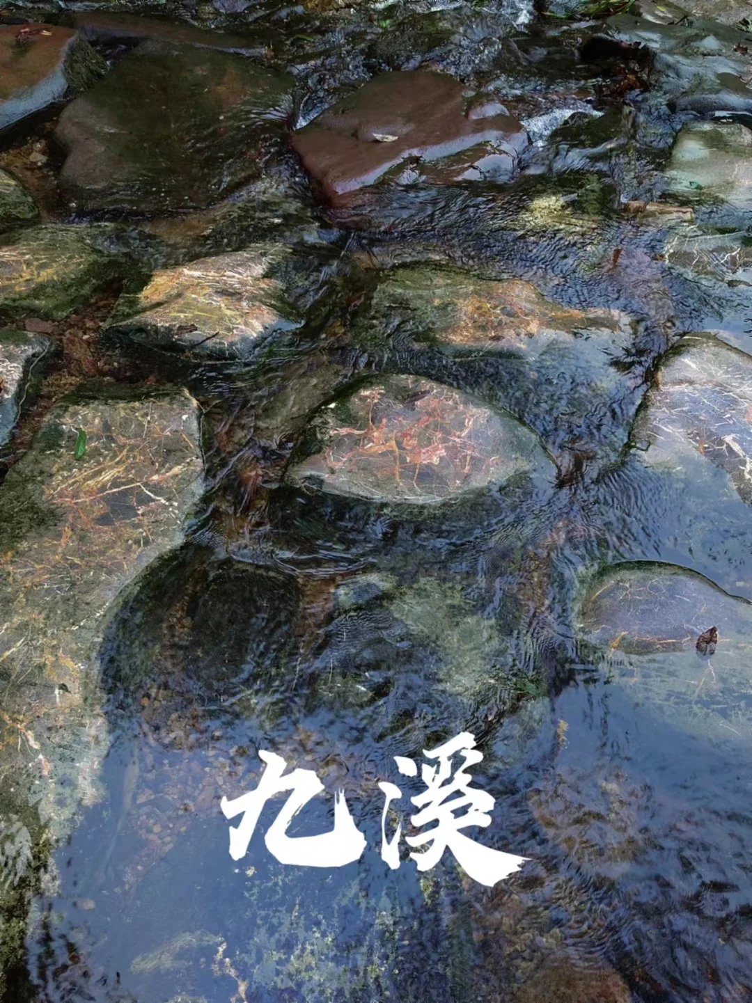 不期朱夏尽，新雨过后的九溪更迷人