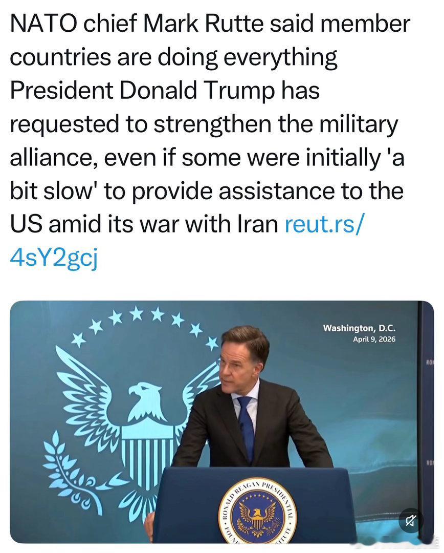 北约秘书长到访白宫，Trump极限施压：两天内拿出具体计划，保障霍尔木兹海峡航运