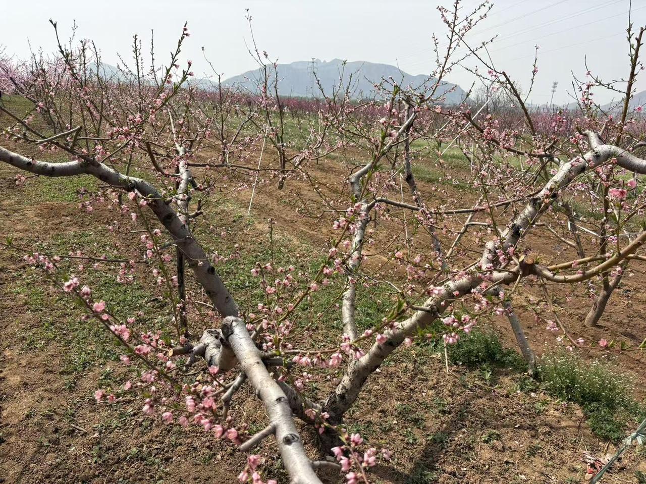 人生在世不可能求圆滿，都是磕磕绊绊到老，虽然会遇到挫折，但相信一切都是上天安排，