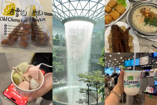 新加坡→印尼民丹岛的美食回忆