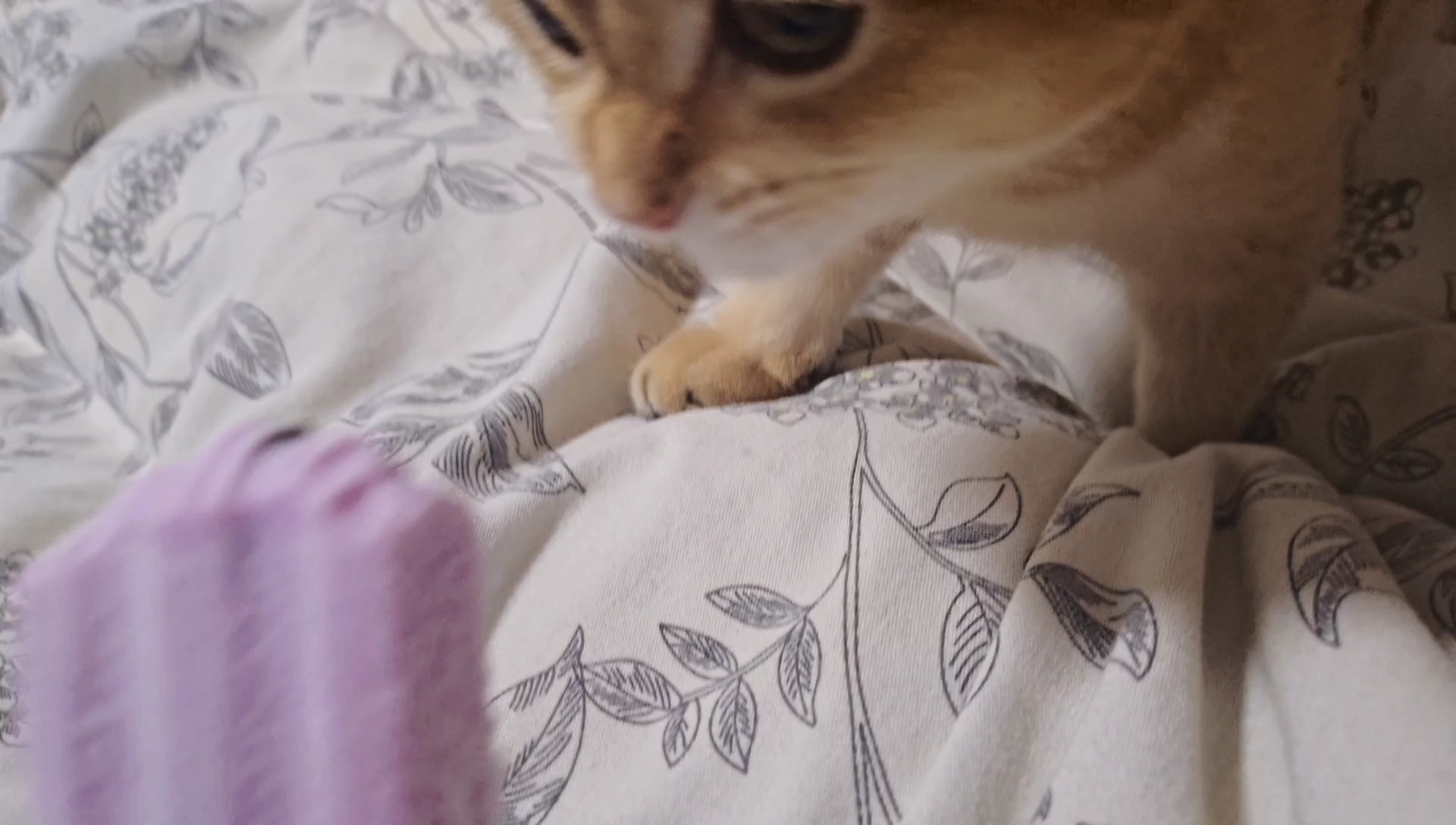 我馋你也馋