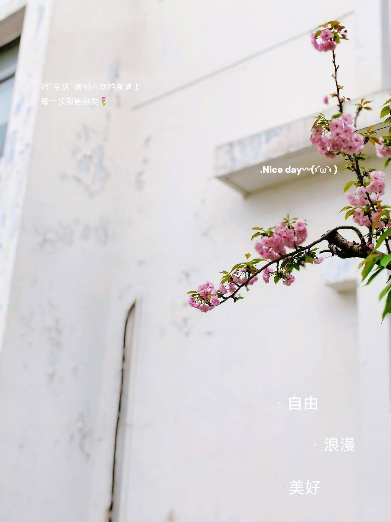 风路过枝头，
花便写满春的诗行。