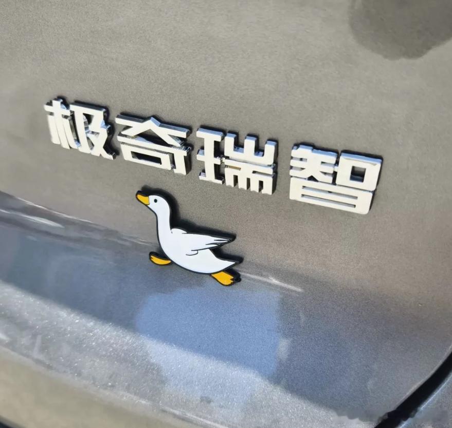 哈哈，这个车主一定是个热爱生活的人！ ​​​