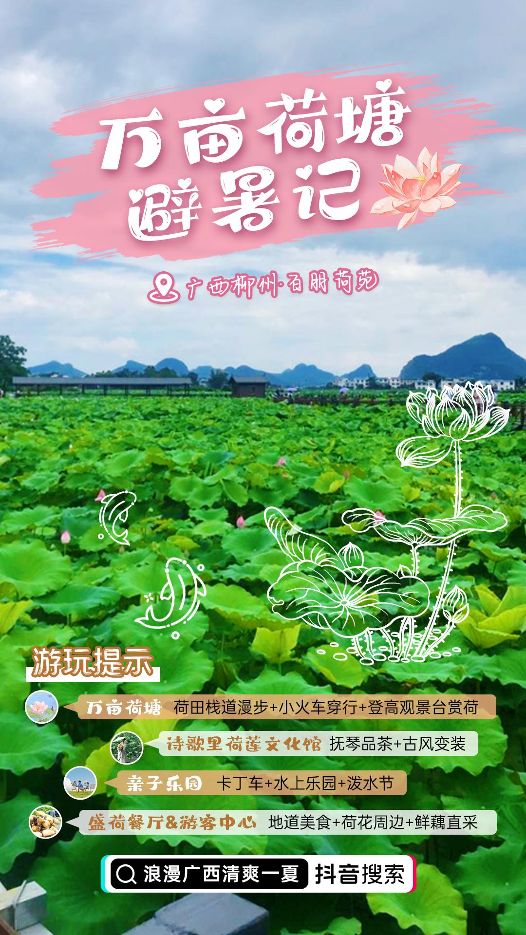 【免费！人少！柳州这片万亩荷塘你打卡了吗？】每年6至8月，柳州百朋荷苑的荷花热烈