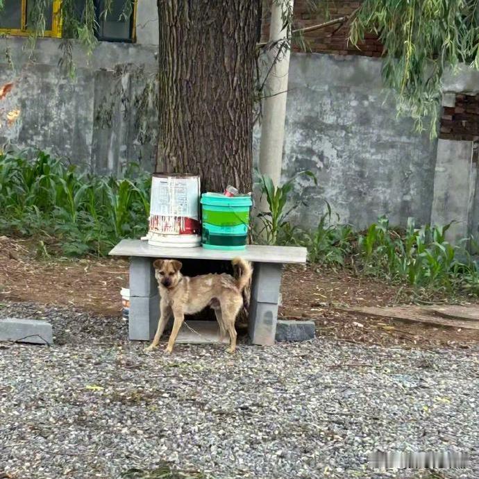 老祖宗说得没错，

娶妻当娶贤！

赵某要是知道自己的丈夫郭某会在混乱中被刺死，