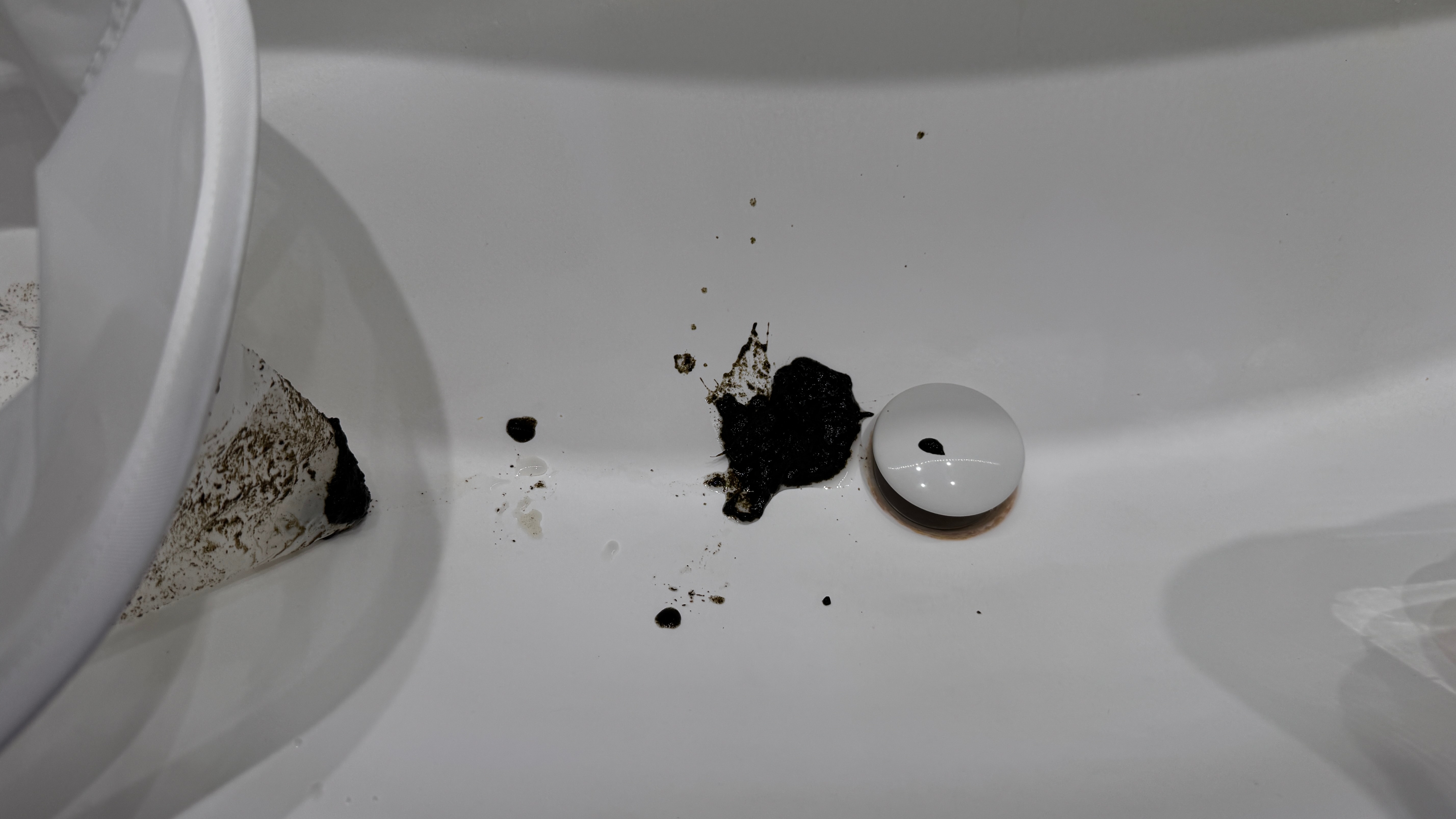 你见过一周积累的鱼屎是什么样子么？💩 