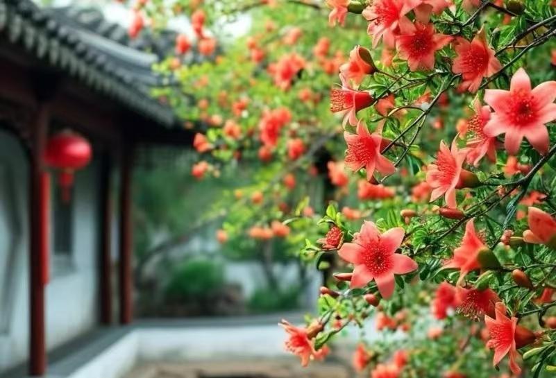 早安，你好！晨辉纳万福，朝阳皆顺遂。愿你眉目舒展，深情新的一天。

晨熹微露，霞