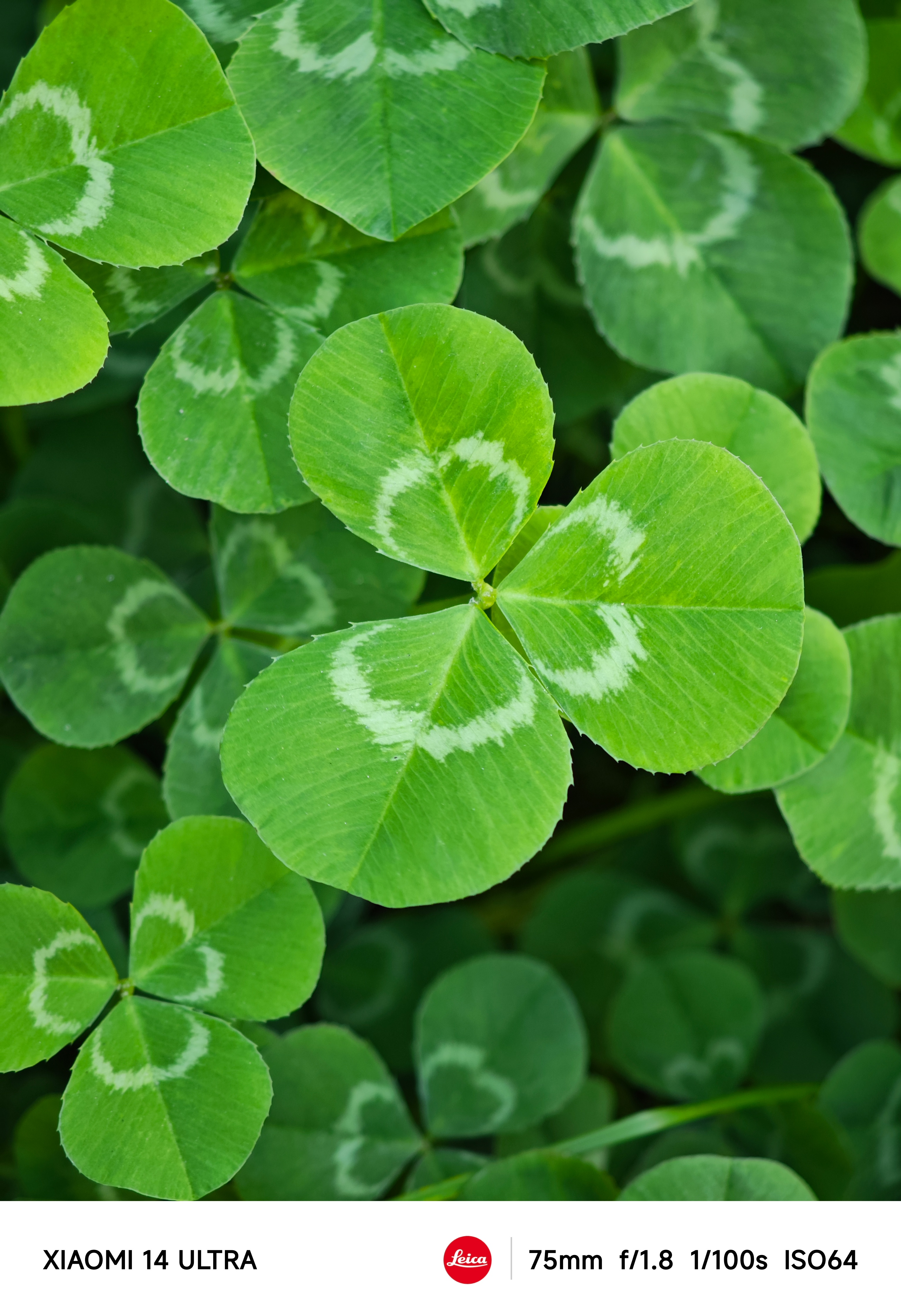 早上好啊，看我发现了什么？