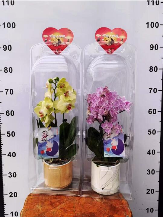 💝【妇女节送礼攻略】给员工最高颜值的宠爱