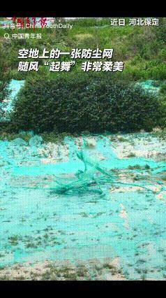 “太神奇了！”河北保定，女子出门遛弯，走到一处空地时，远远看到似乎有人在翩翩起舞