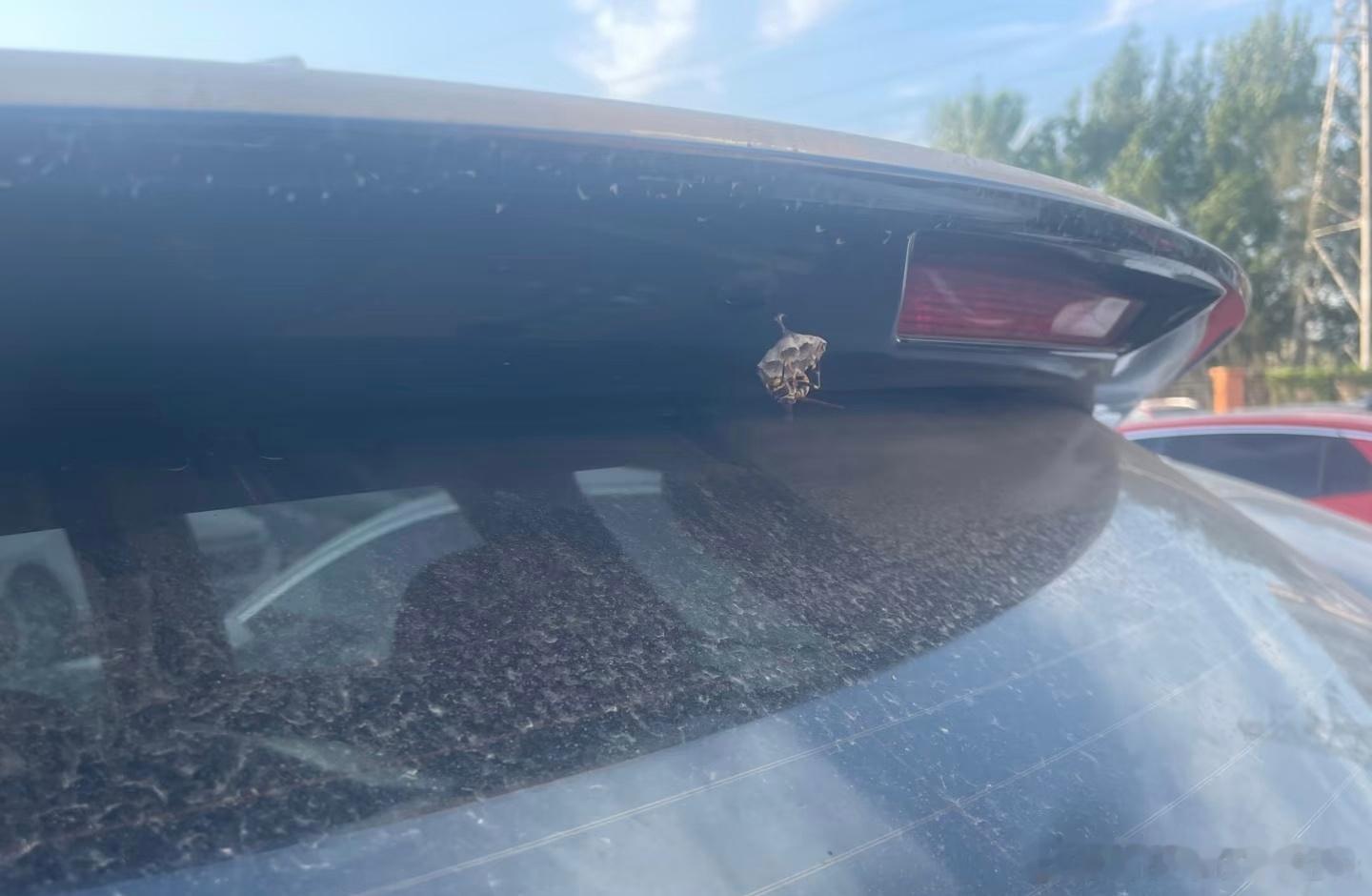 油价上涨不开车的后果来了 