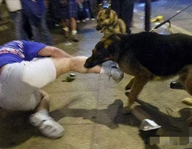 整治城市养犬乱象呼声高涨，有人提议从严立法，你支持吗？
