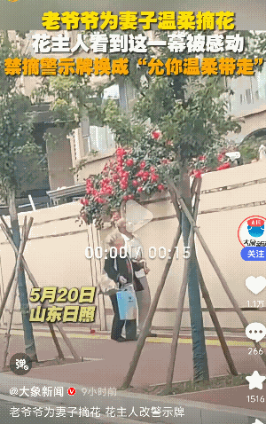 温柔不过此！ 山东日照，一老爷爷和自己爱人路过一户人家，看到这户人家的花开出了墙