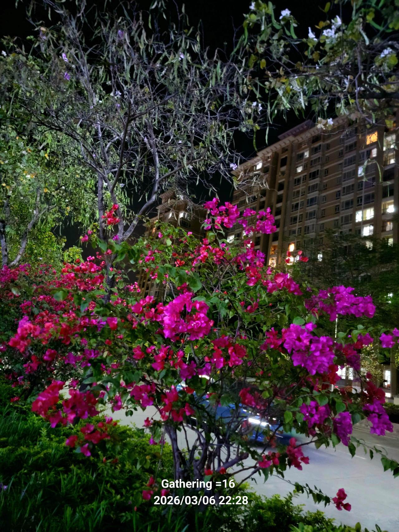 这是一组夜景照片，但是手机的噪点还是有点高，毕竟不是专业的摄影设备。所以说实话能