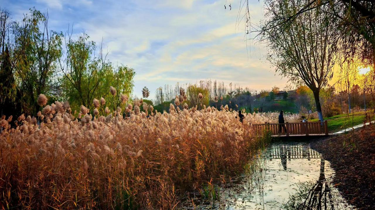冬日生活打卡季晚风吹软了芦苇的绒，夕阳把秋意染成暖黄。小路绕着水湾弯，有人站在桥