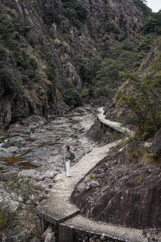 温州|这个被严重低估的废弃森林公园🌳超美!